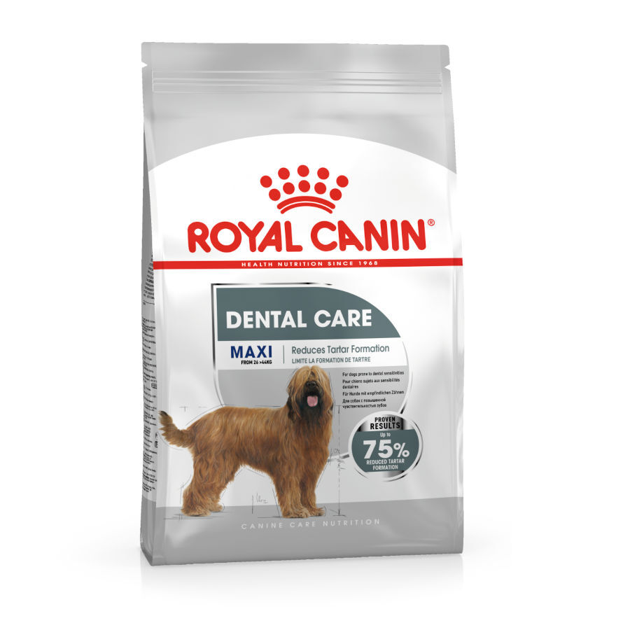 Royal Canin Maxi Dental Care ração para cães, , large image number null